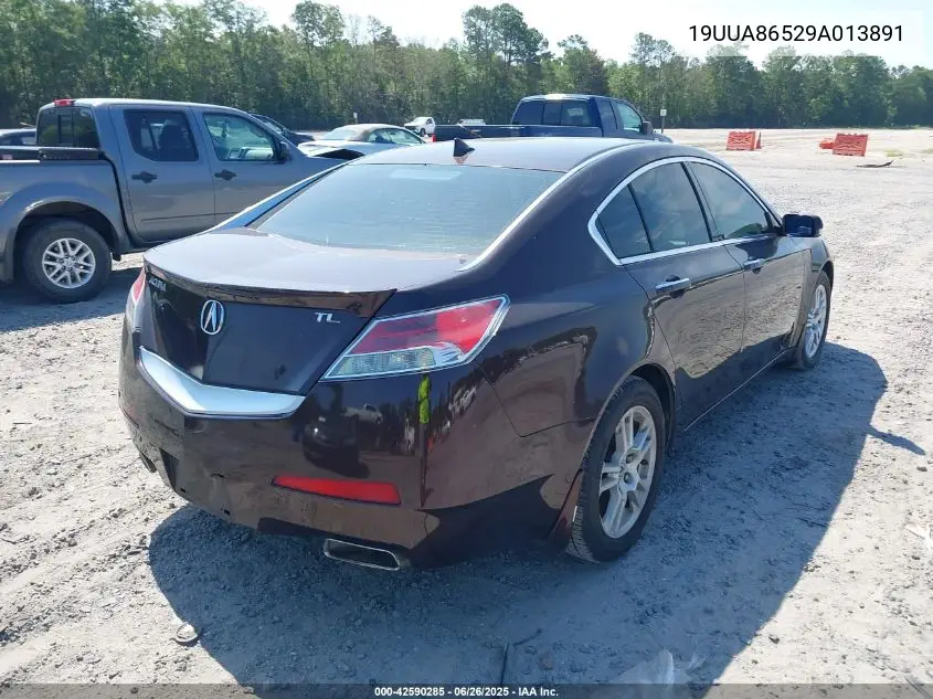 2009 Acura Tl VIN: 19UUA86529A013891 Lot: 42590285