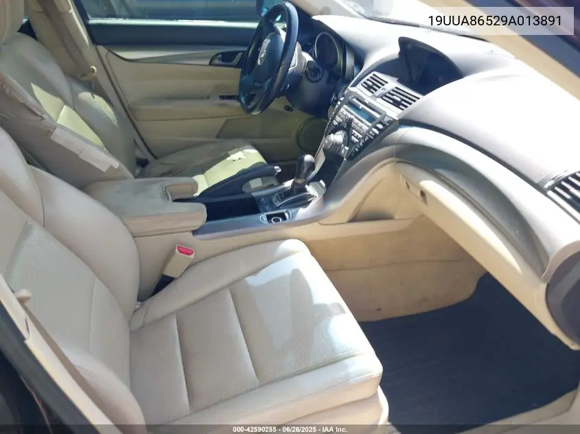 2009 Acura Tl VIN: 19UUA86529A013891 Lot: 42590285
