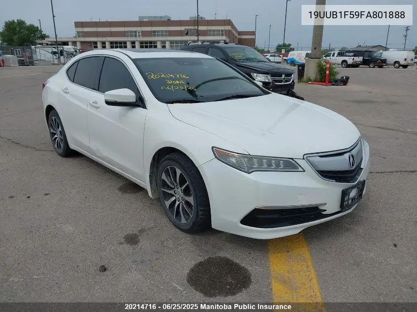 2015 Acura Tlx VIN: 19UUB1F59FA801888 Lot: 20214716