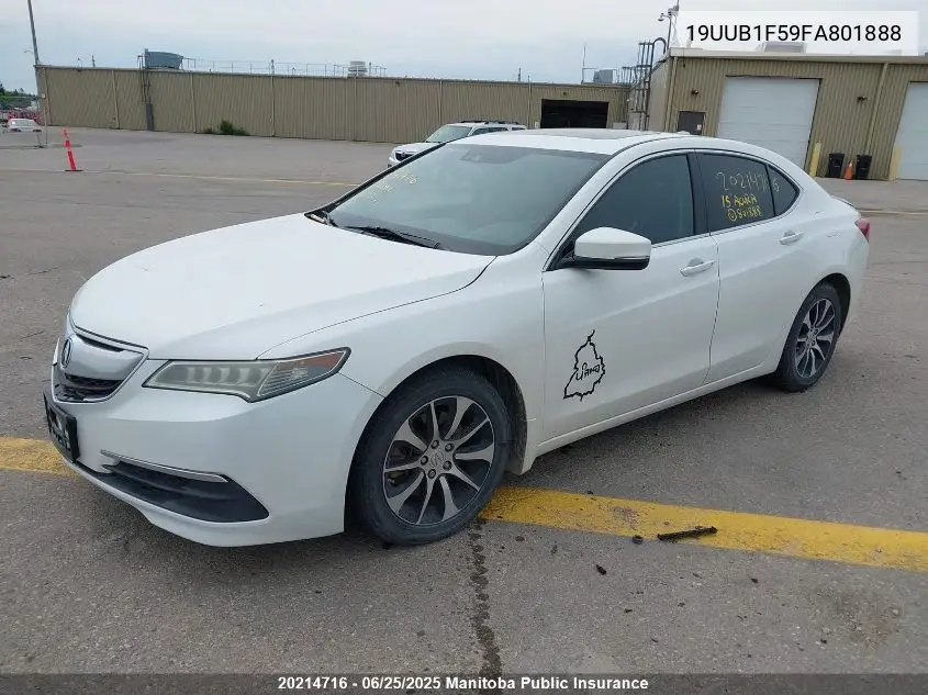 2015 Acura Tlx VIN: 19UUB1F59FA801888 Lot: 20214716
