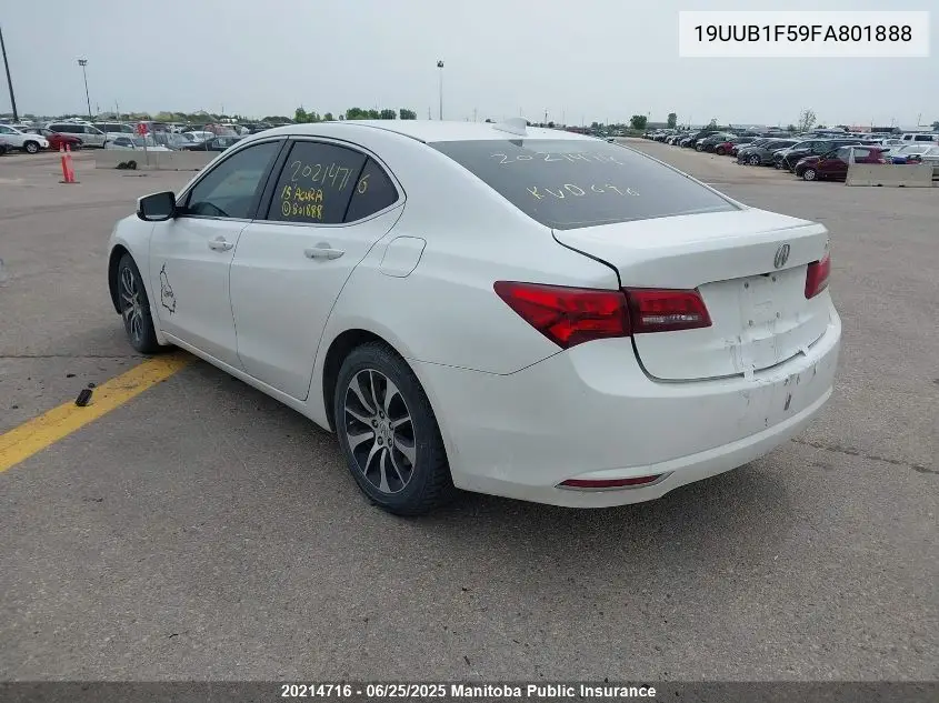 2015 Acura Tlx VIN: 19UUB1F59FA801888 Lot: 20214716