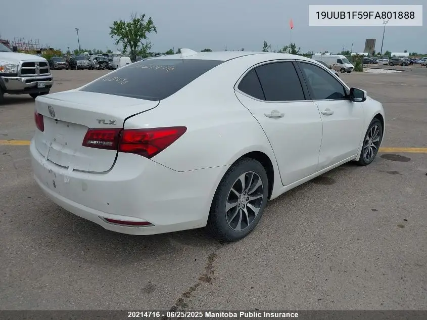 2015 Acura Tlx VIN: 19UUB1F59FA801888 Lot: 20214716