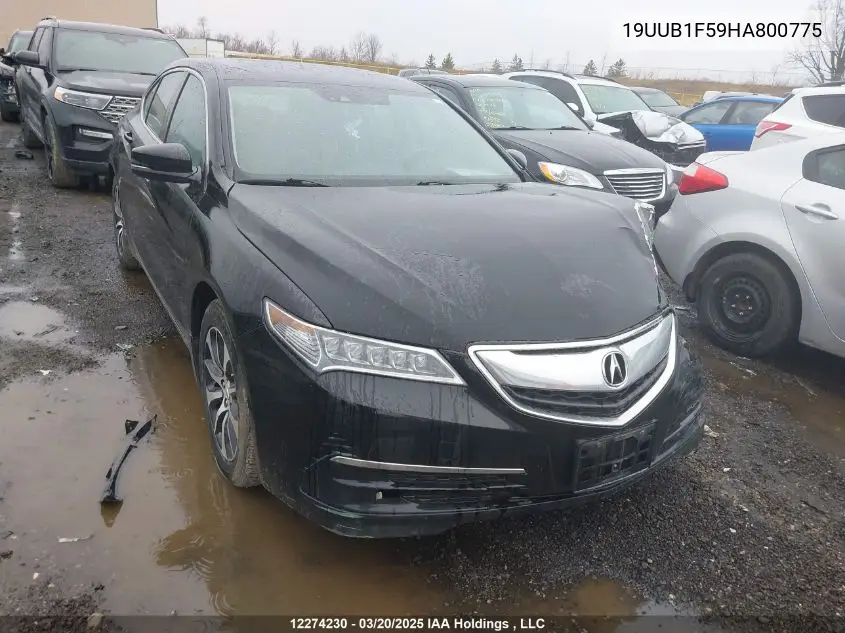 2017 Acura Tlx VIN: 19UUB1F59HA800775 Lot: 12274230
