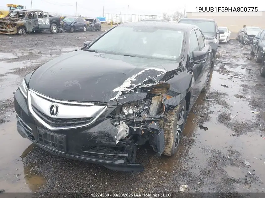 2017 Acura Tlx VIN: 19UUB1F59HA800775 Lot: 12274230