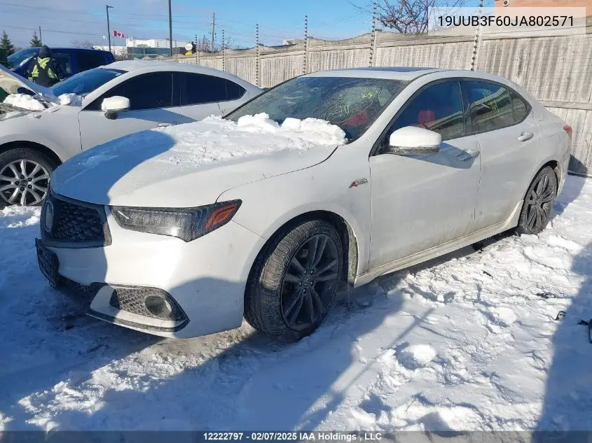 2018 Acura Tlx Tech+A/Tch+Ar VIN: 19UUB3F60JA802571 Lot: 12222797