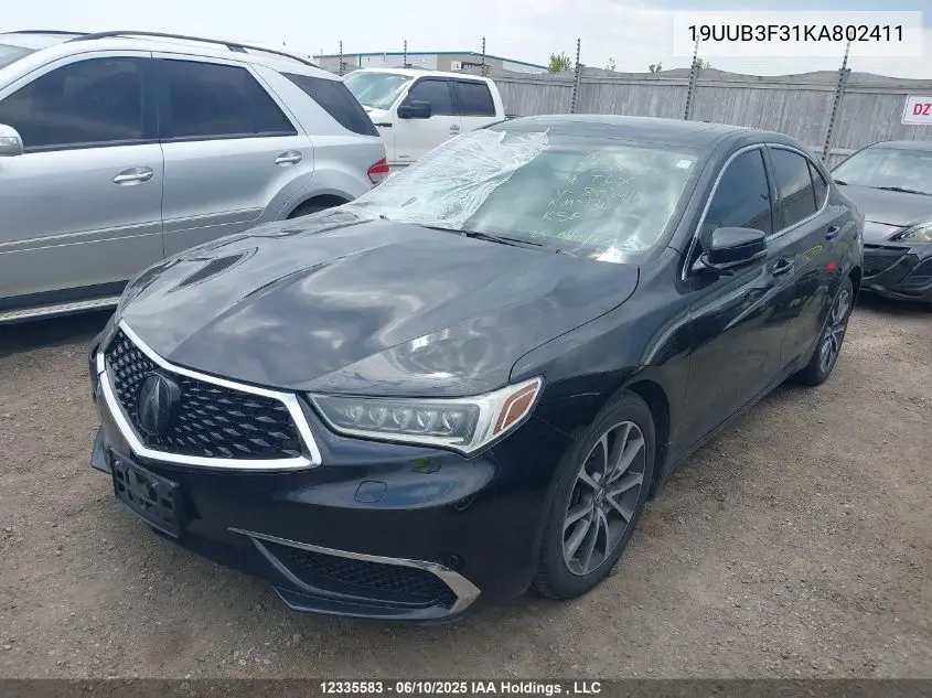2019 Acura Tlx VIN: 19UUB3F31KA802411 Lot: 12335583X