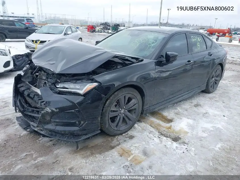 2022 Acura Tlx A-Spec VIN: 19UUB6F5XNA800602 Lot: 12278631