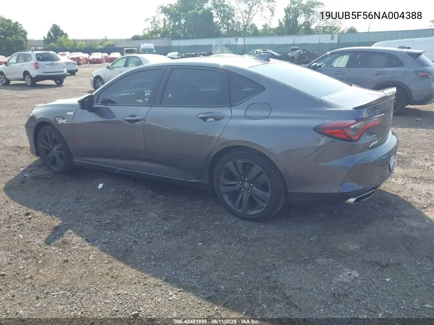 2022 Acura Tlx A-Spec Package VIN: 19UUB5F56NA004388 Lot: 42481895