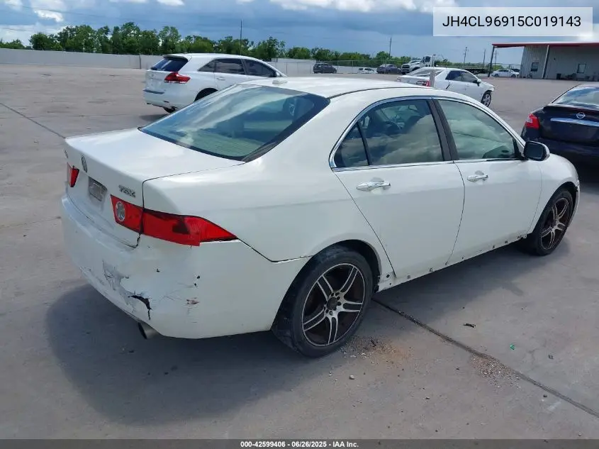 2005 Acura Tsx VIN: JH4CL96915C019143 Lot: 42599406