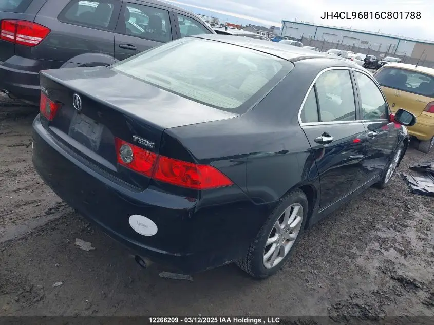 2006 Acura Tsx VIN: JH4CL96816C801788 Lot: 12266209