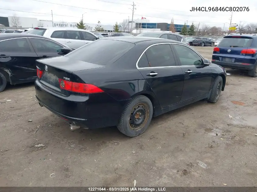2006 Acura Tsx VIN: JH4CL96846C802076 Lot: 12271044