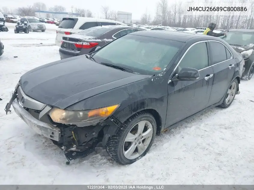 2009 Acura Tsx VIN: JH4CU26689C800886 Lot: 12231304