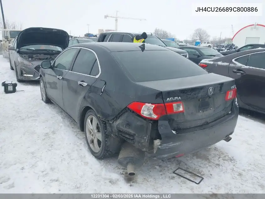 2009 Acura Tsx VIN: JH4CU26689C800886 Lot: 12231304