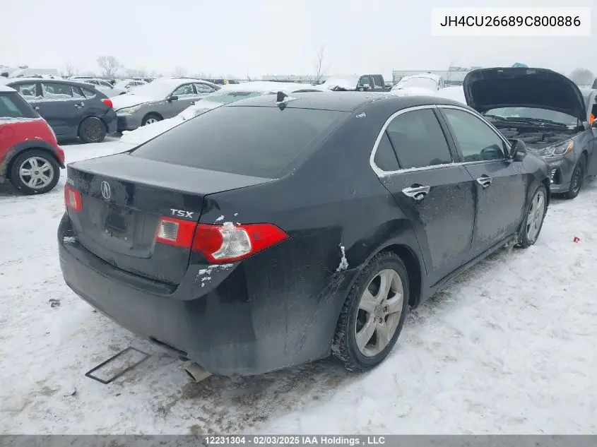 2009 Acura Tsx VIN: JH4CU26689C800886 Lot: 12231304