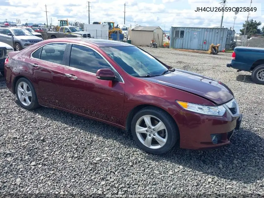 2009 Acura Tsx VIN: JH4CU26659C025849 Lot: 41948623