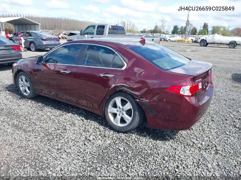 2009 Acura Tsx VIN: JH4CU26659C025849 Lot: 41948623