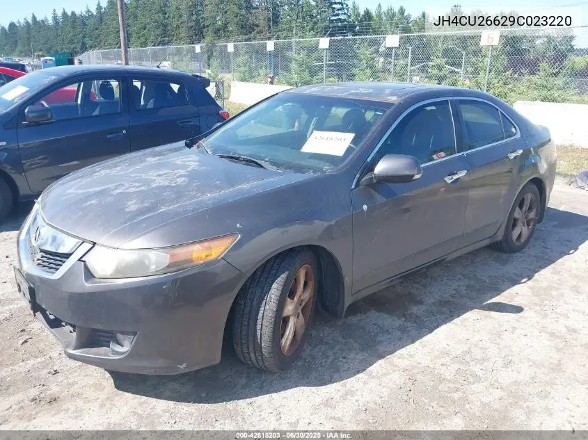 2009 Acura Tsx VIN: JH4CU26629C023220 Lot: 42618203