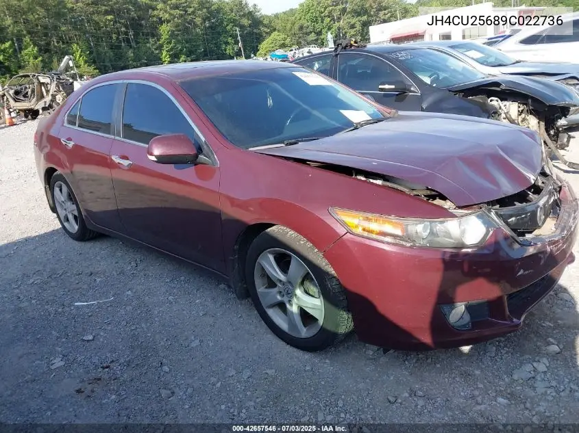 2009 Acura Tsx VIN: JH4CU25689C022736 Lot: 42657546
