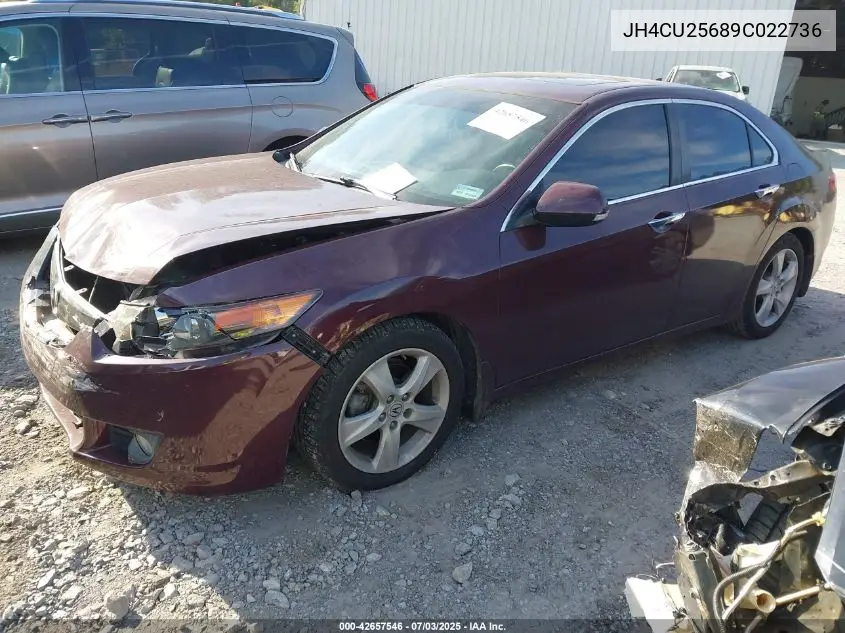 2009 Acura Tsx VIN: JH4CU25689C022736 Lot: 42657546