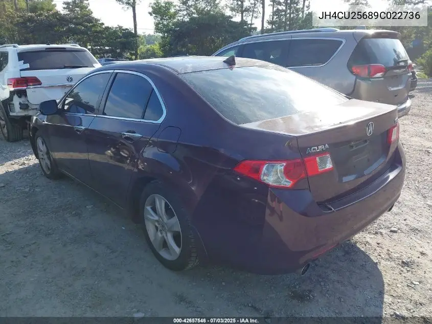 2009 Acura Tsx VIN: JH4CU25689C022736 Lot: 42657546