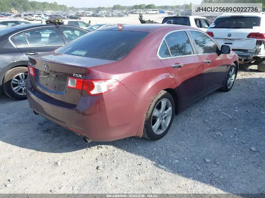 2009 Acura Tsx VIN: JH4CU25689C022736 Lot: 42657546