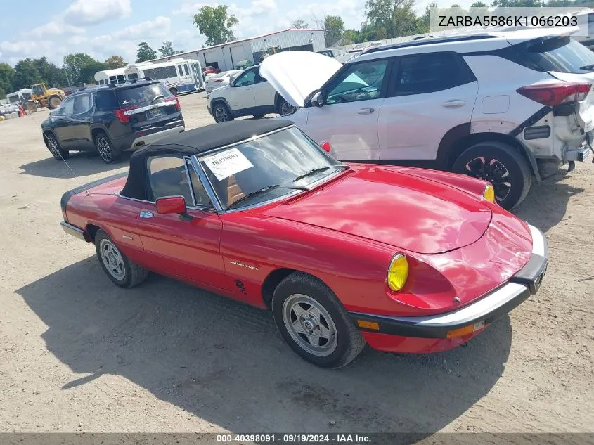1989 Alfa Romeo Spider Veloce VIN: ZARBA5586K1066203 Lot: 40398091
