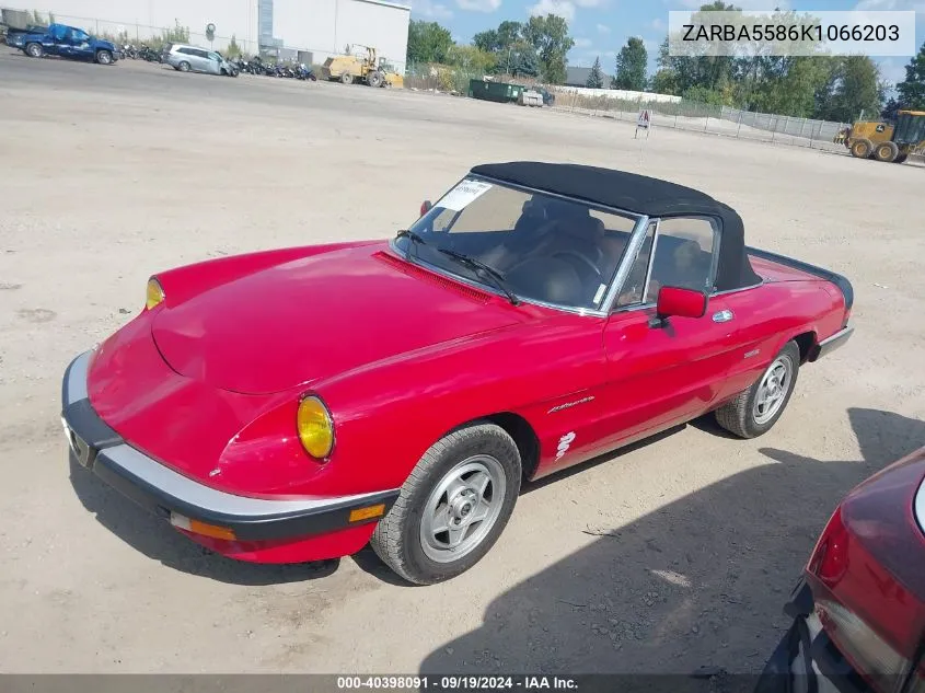 1989 Alfa Romeo Spider Veloce VIN: ZARBA5586K1066203 Lot: 40398091
