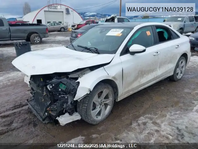 2022 Audi A3 Premium VIN: WAUGUCGY1NA039128 Lot: 12251244