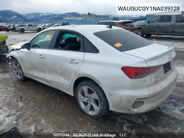 2022 Audi A3 Premium VIN: WAUGUCGY1NA039128 Lot: 12251244