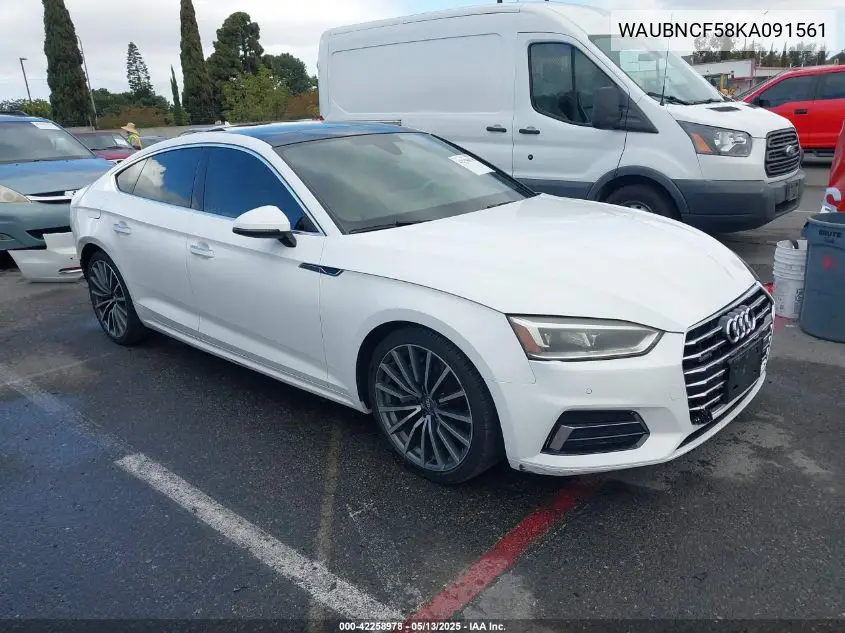 2019 Audi A5 45 Premium VIN: WAUBNCF58KA091561 Lot: 42258978