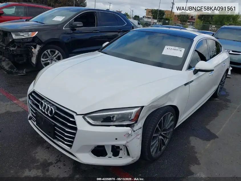 2019 Audi A5 45 Premium VIN: WAUBNCF58KA091561 Lot: 42258978