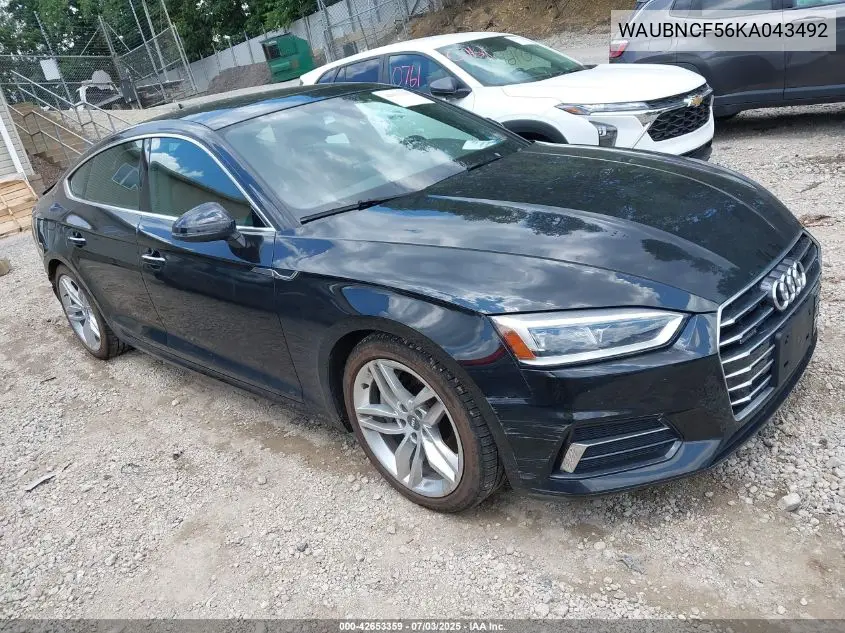 2019 Audi A5 45 Premium VIN: WAUBNCF56KA043492 Lot: 42653359