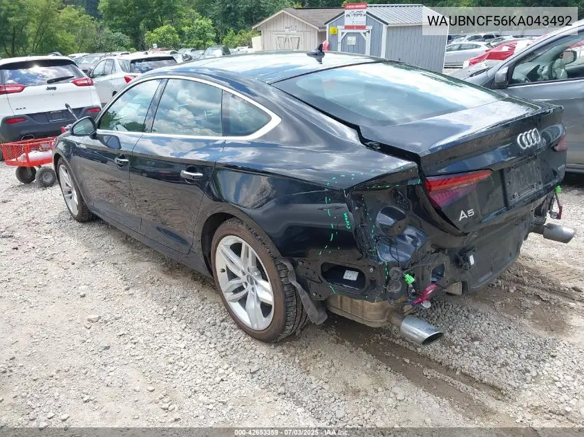 2019 Audi A5 45 Premium VIN: WAUBNCF56KA043492 Lot: 42653359
