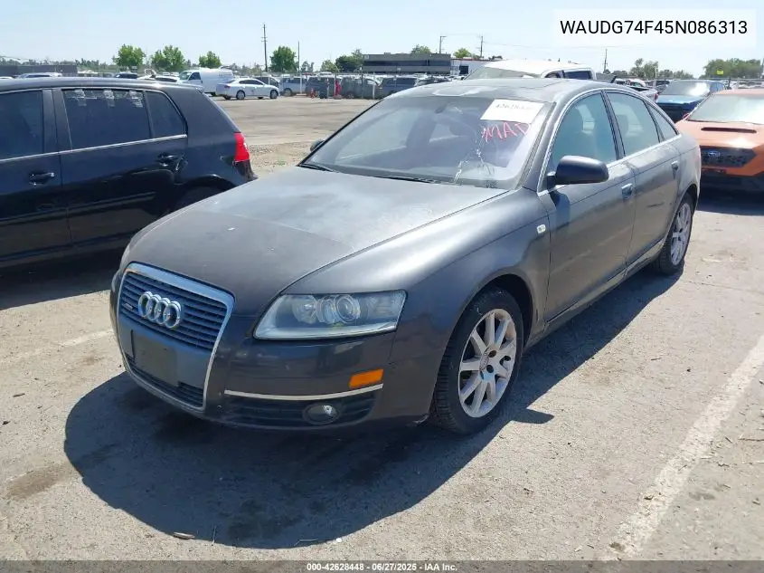 2005 Audi A6 3.2 VIN: WAUDG74F45N086313 Lot: 42628448