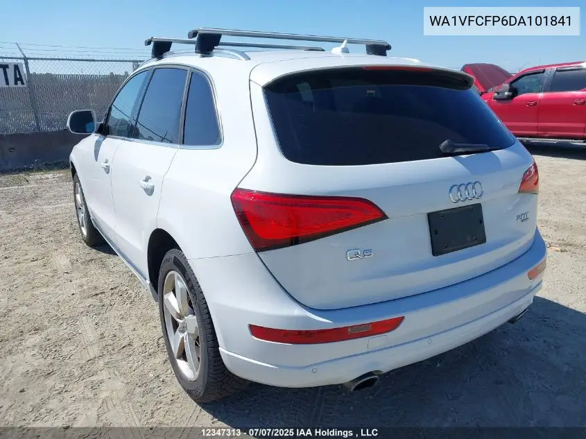 2013 Audi Q5 Premium Plus VIN: WA1VFCFP6DA101841 Lot: 12347313