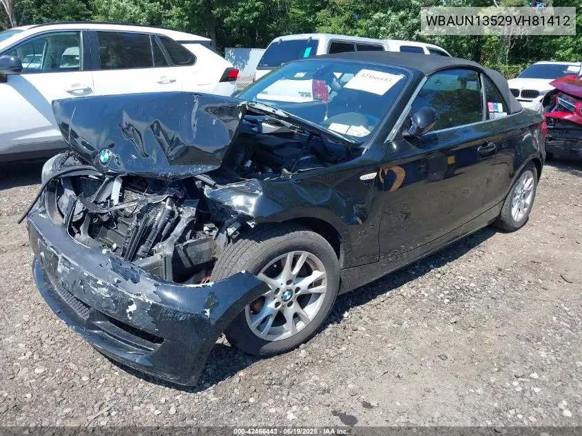 2009 BMW 128I VIN: WBAUN13529VH81412 Lot: 42466443