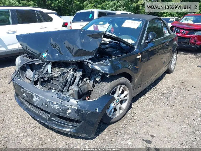 2009 BMW 128I VIN: WBAUN13529VH81412 Lot: 42466443