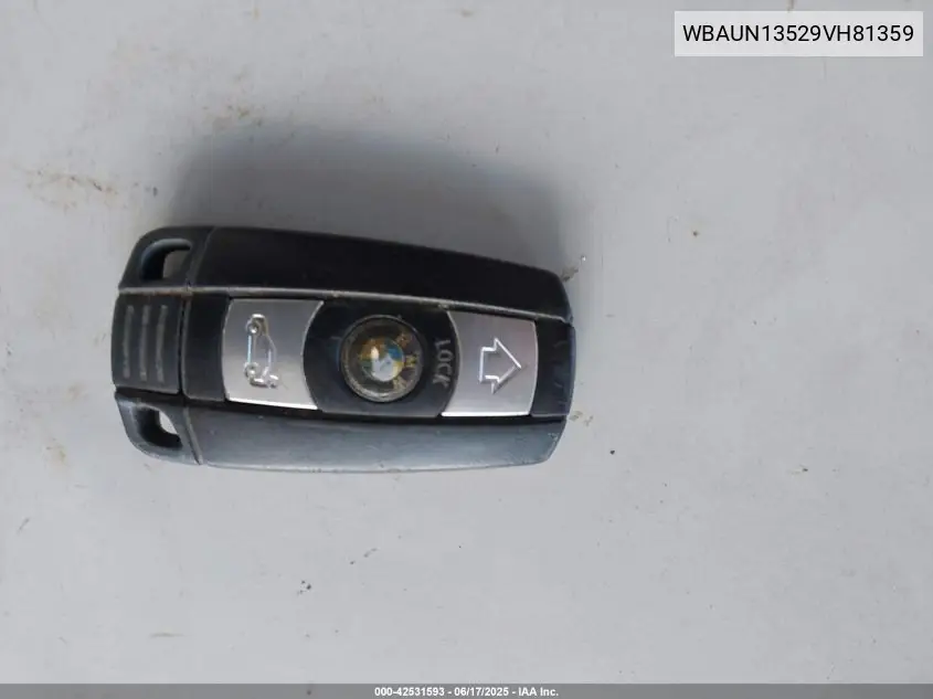 2009 BMW 128I VIN: WBAUN13529VH81359 Lot: 42531593