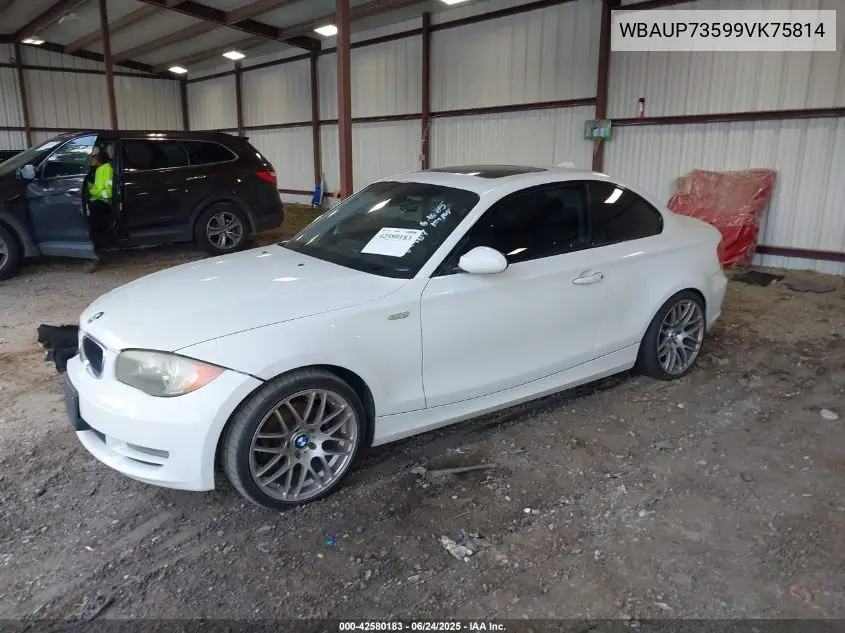2009 BMW 128I VIN: WBAUP73599VK75814 Lot: 42580183