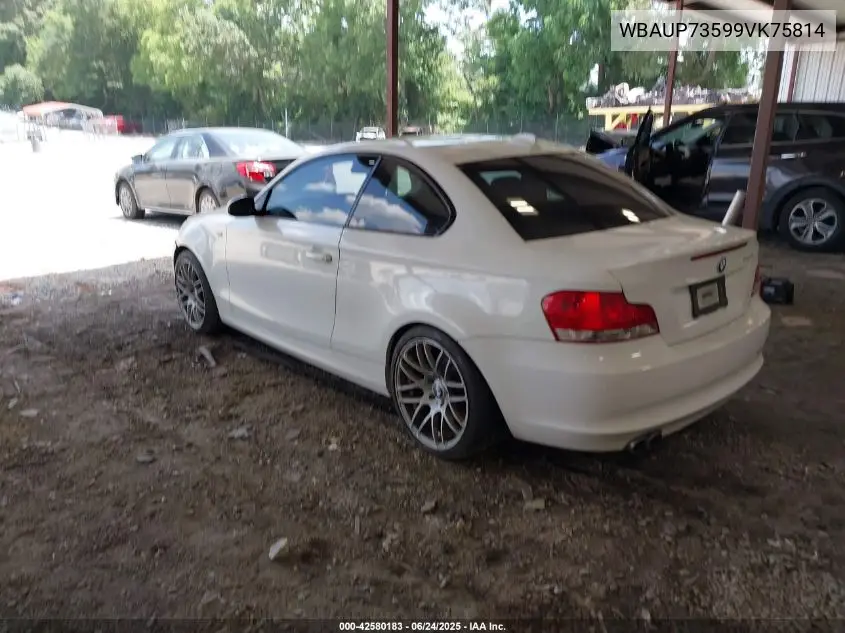 2009 BMW 128I VIN: WBAUP73599VK75814 Lot: 42580183