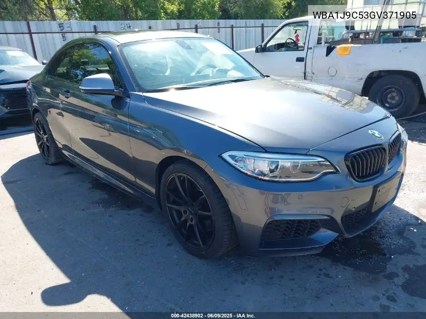 2016 BMW M235I xDrive VIN: WBA1J9C53GV371905 Lot: 42438902