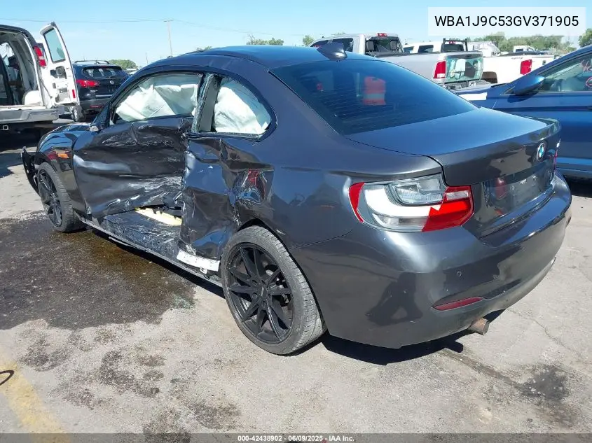 2016 BMW M235I xDrive VIN: WBA1J9C53GV371905 Lot: 42438902