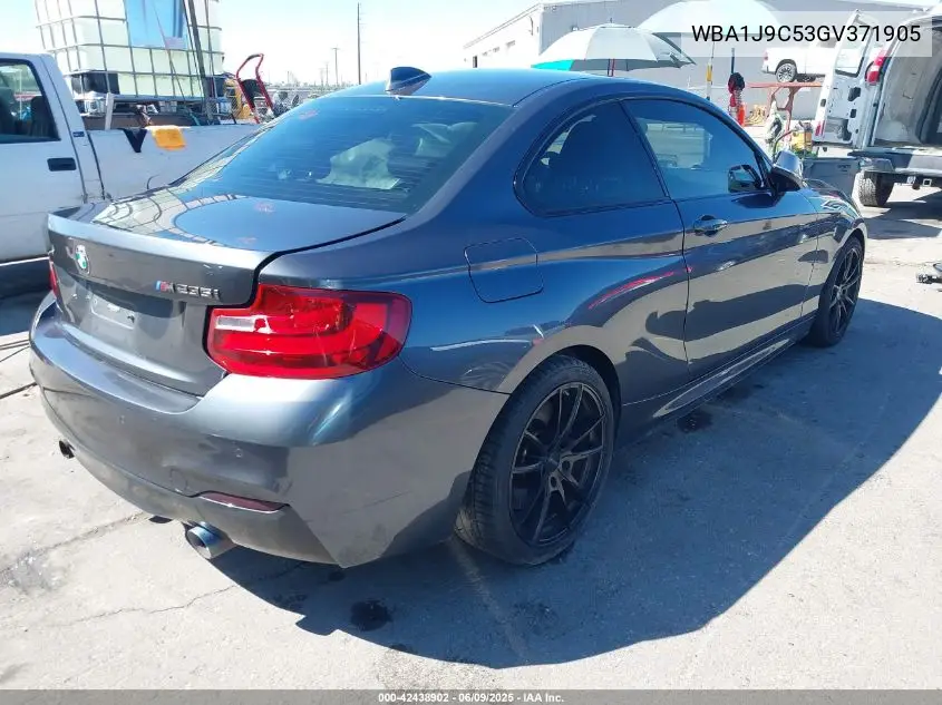 2016 BMW M235I xDrive VIN: WBA1J9C53GV371905 Lot: 42438902