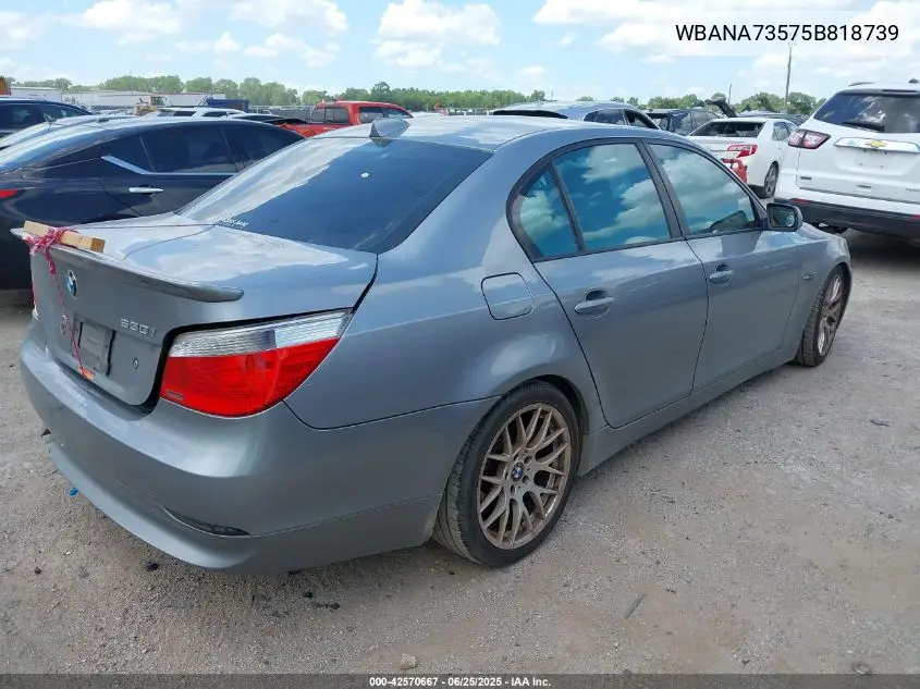 2005 BMW 530I VIN: WBANA73575B818739 Lot: 42570667