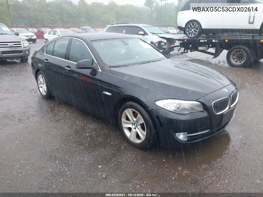 2012 BMW 528I VIN: WBAXG5C53CDX02614 Lot: 42263821