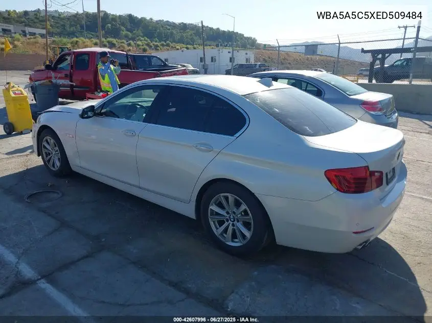 2014 BMW 528 I VIN: WBA5A5C5XED509484 Lot: 42607996