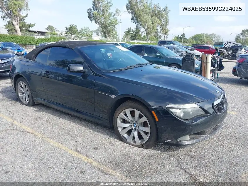 2009 BMW 650I VIN: WBAEB53599C224025 Lot: 42229097
