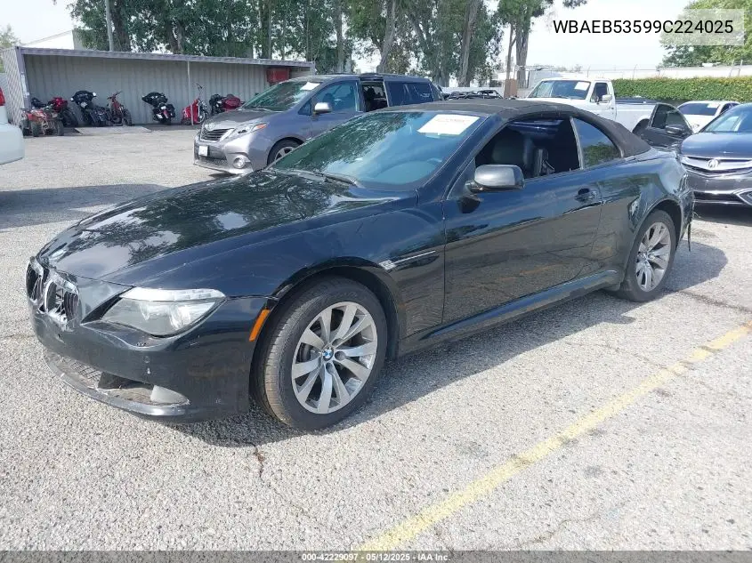 2009 BMW 650I VIN: WBAEB53599C224025 Lot: 42229097