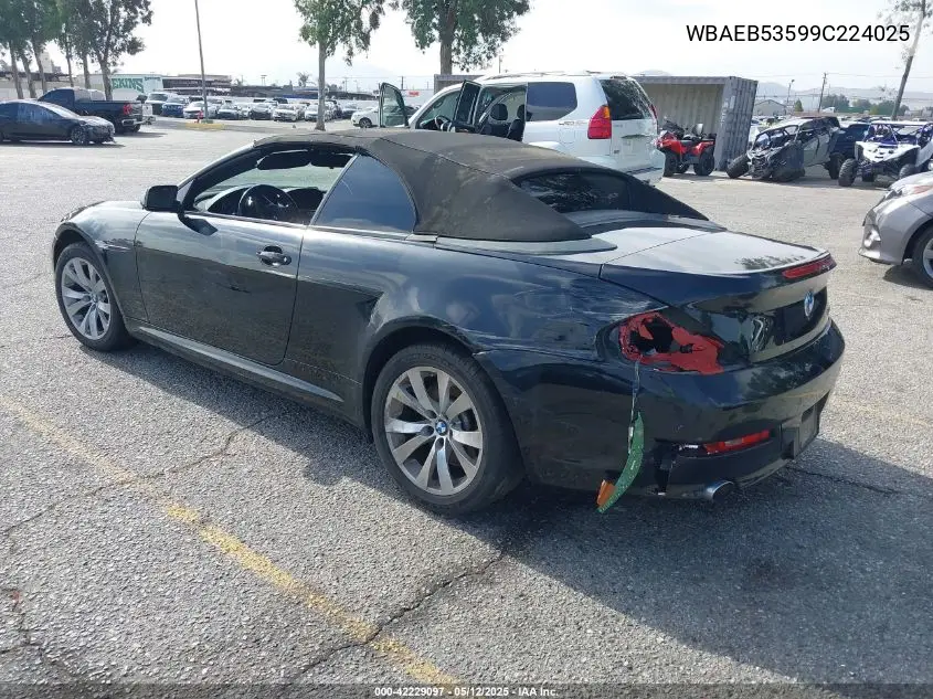 2009 BMW 650I VIN: WBAEB53599C224025 Lot: 42229097