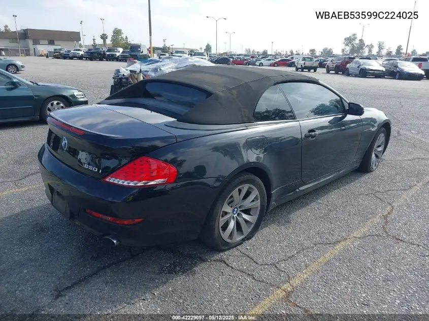 2009 BMW 650I VIN: WBAEB53599C224025 Lot: 42229097